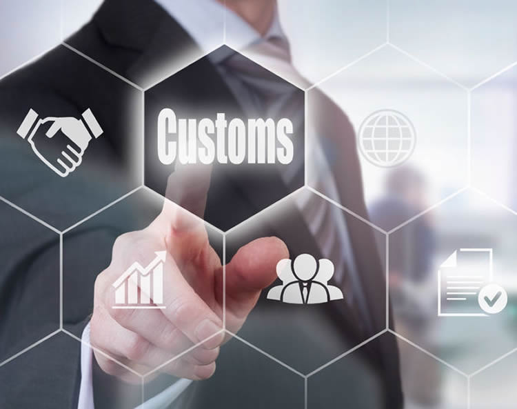 Import / Export Process